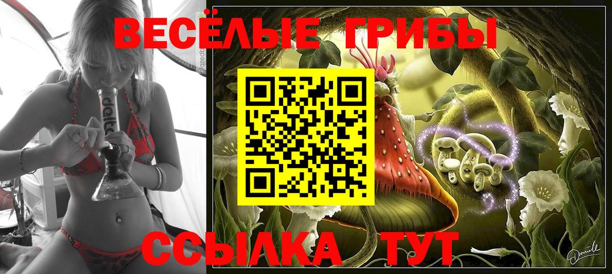 Псилоцибиновые грибы Cubensis Великие Луки