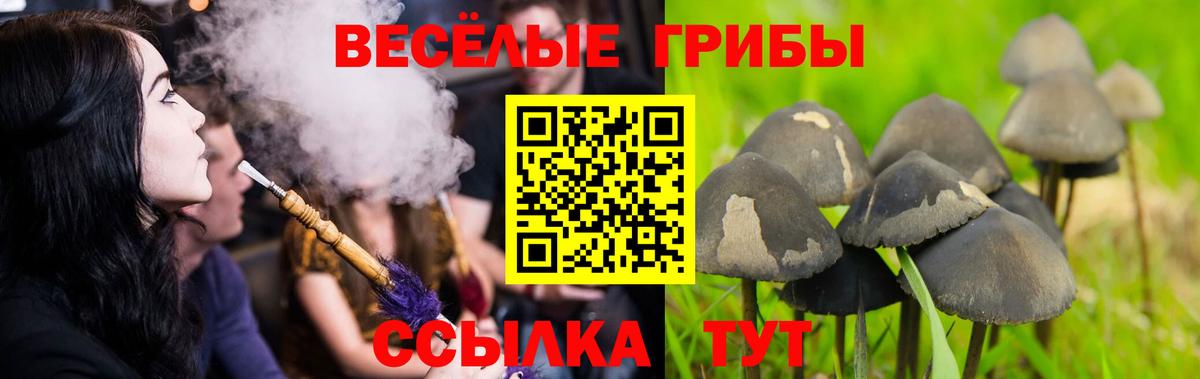Великие Луки  Галлюциногенные грибы мухоморы  закладка  Вход с VPN 